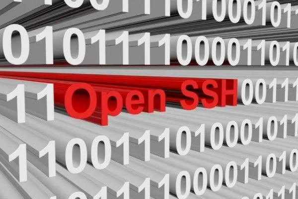 В OpenSSH 20 лет скрывался серьезный «баг»